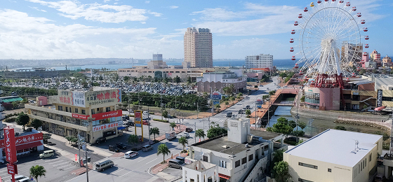 観覧車のある周辺環境の写真